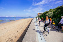 R�sultat de recherche d'images pour "serpent estuaire loire"